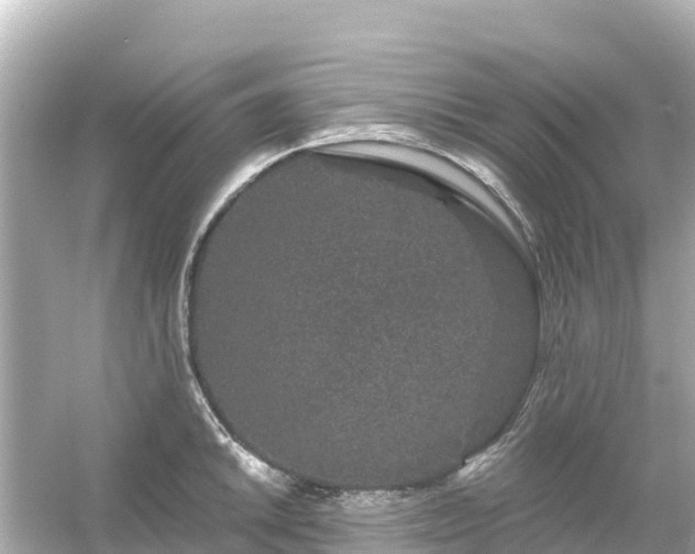 X0000054461046200508051946