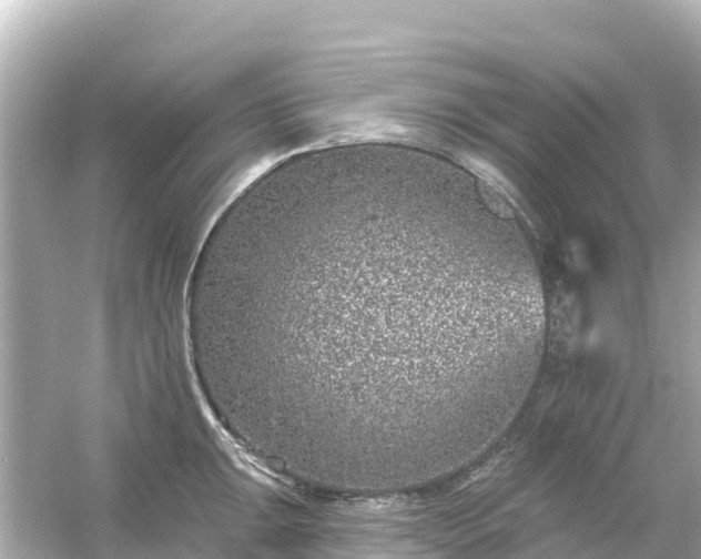 X0000054461047200508051946