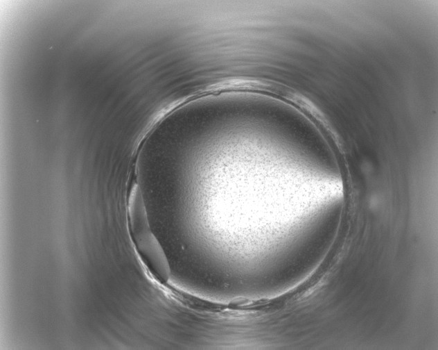 X0000054461049200508051946