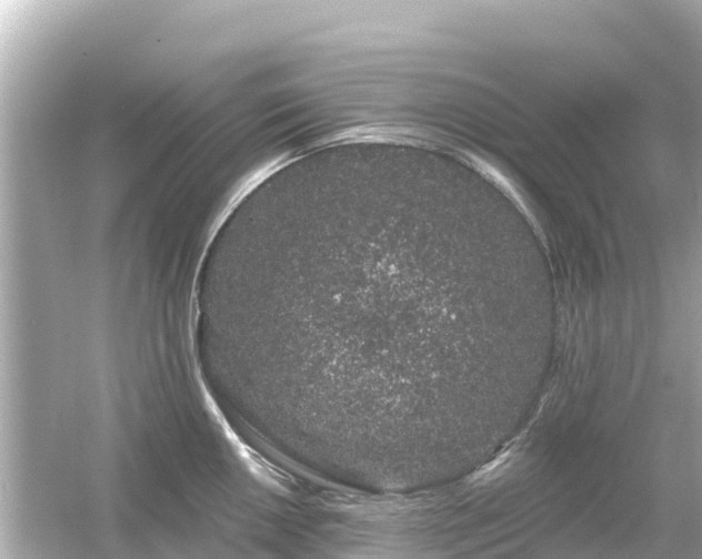 X0000054461050200508051946