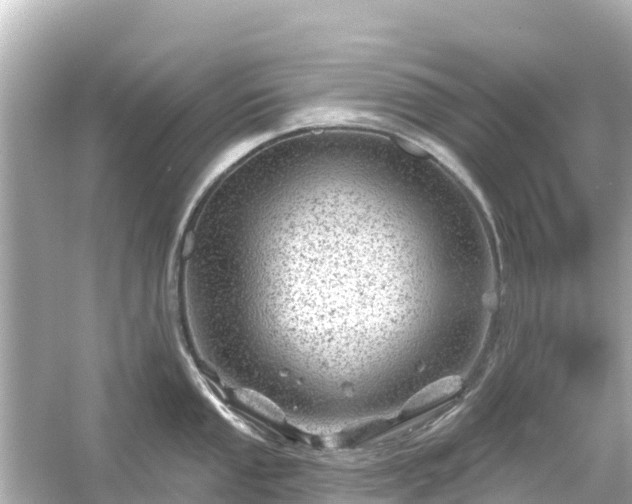 X0000054461053200508051946