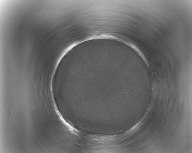 X0000054461054200508051946