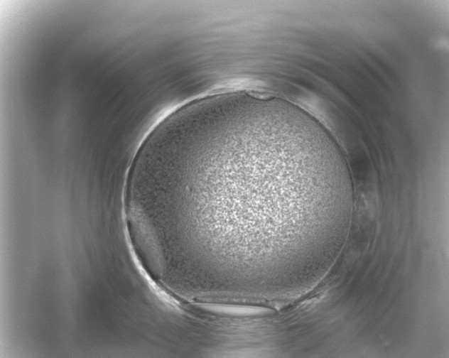 X0000054461055200508051946