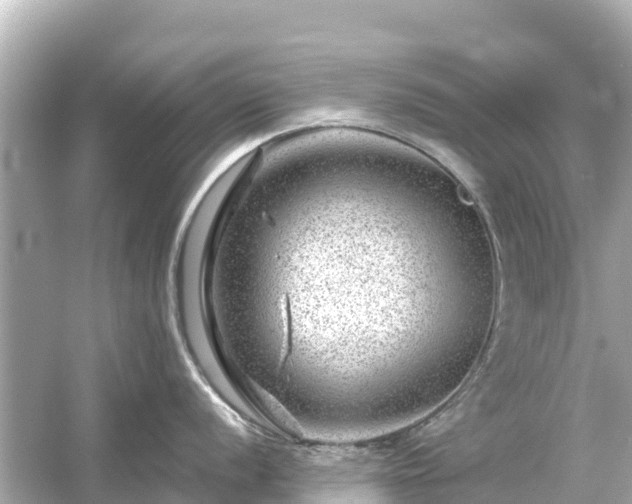 X0000054461056200508051946