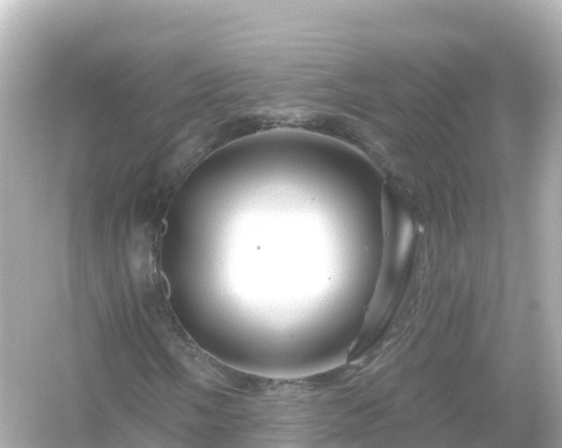 X0000054461058200508051945