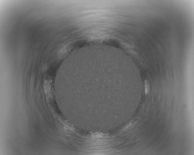 X0000054461059200508051945