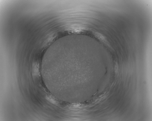 X0000054461060200508051945