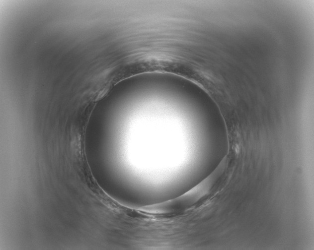 X0000054461061200508051945