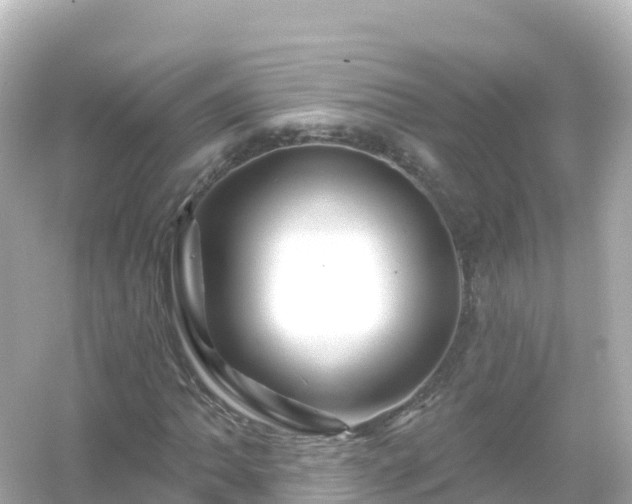 X0000054461062200508051945