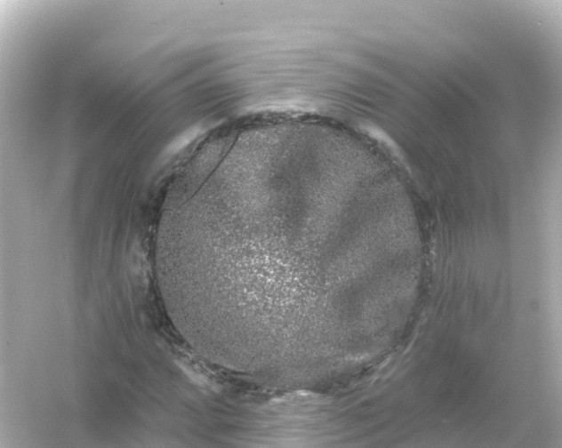 X0000054461064200508051945