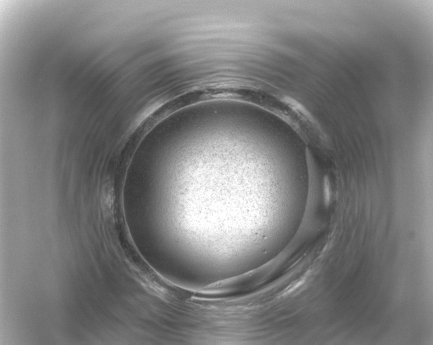 X0000054461065200508051945