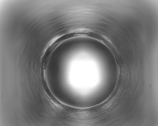 X0000054461066200508051945