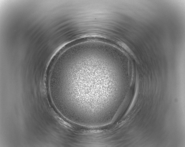 X0000054461068200508051945