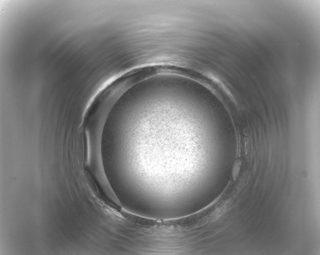 X0000054461069200508051945