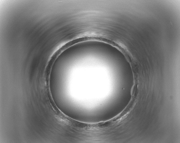 X0000054461070200508051945