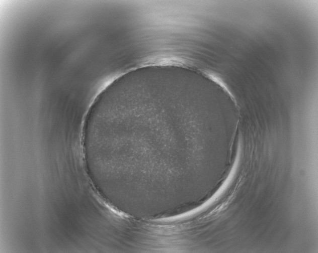 X0000054461071200508051945