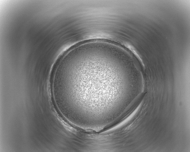 X0000054461072200508051945