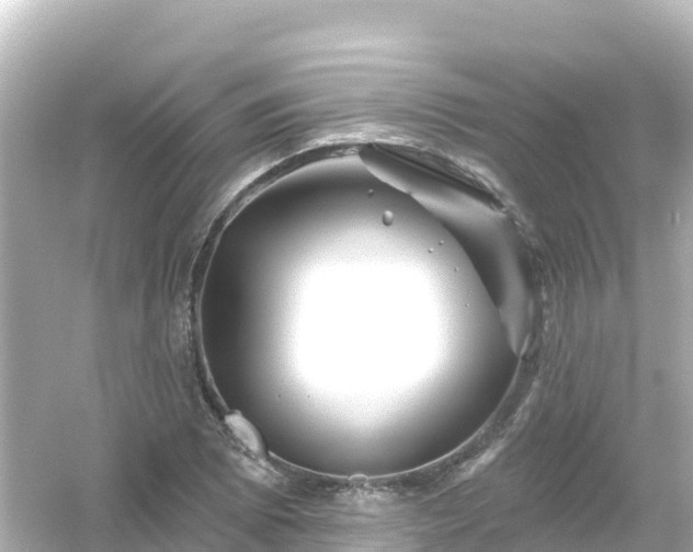 X0000054461073200508051945