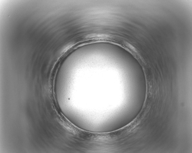 X0000054461074200508051945