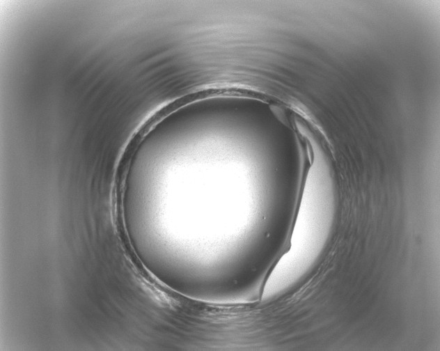 X0000054461076200508051945