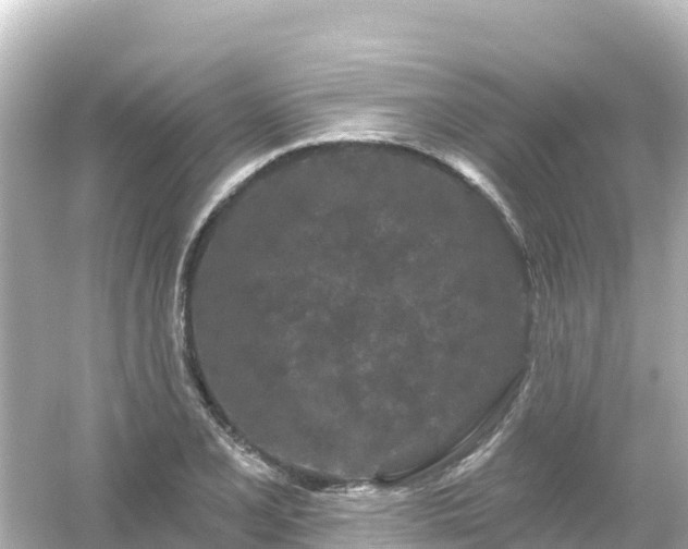 X0000054461077200508051945