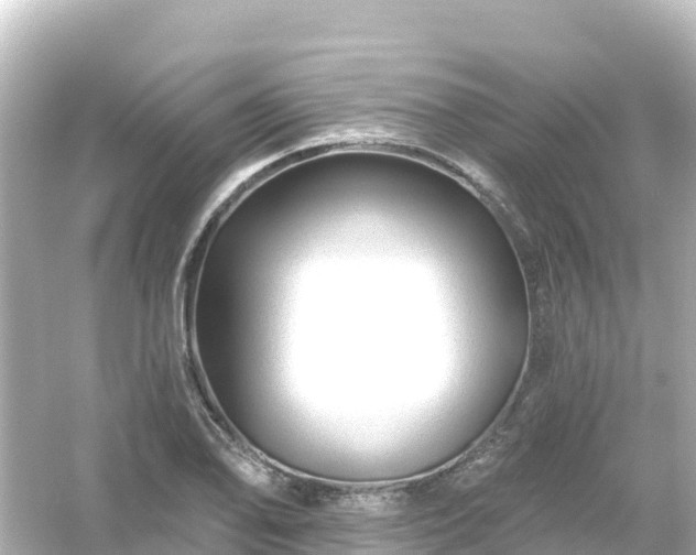 X0000054461078200508051945