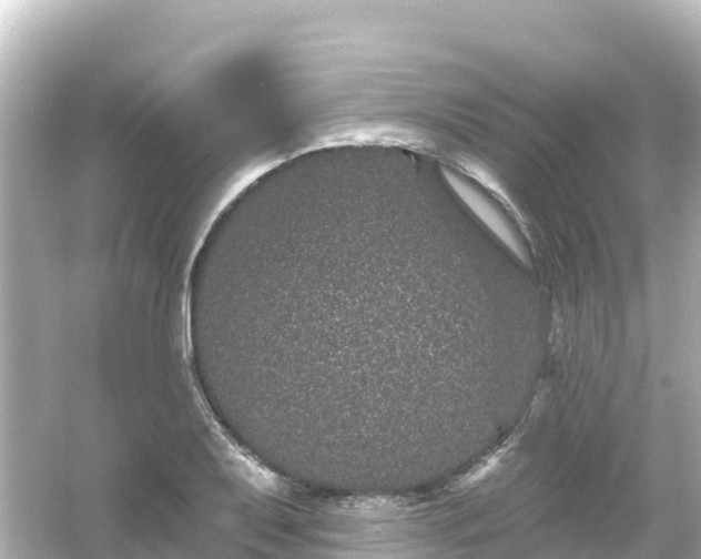 X0000054461079200508051945