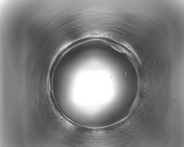 X0000054461080200508051945