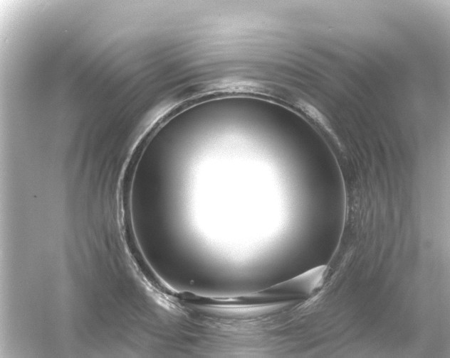 X0000054461082200508051945