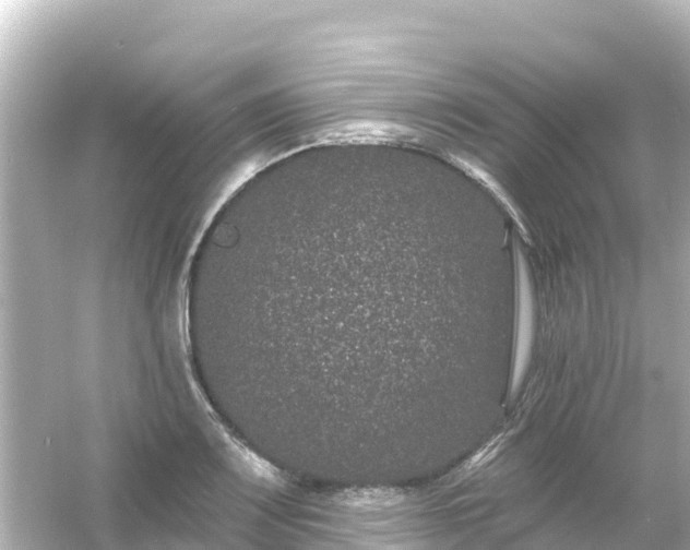 X0000054461083200508051944