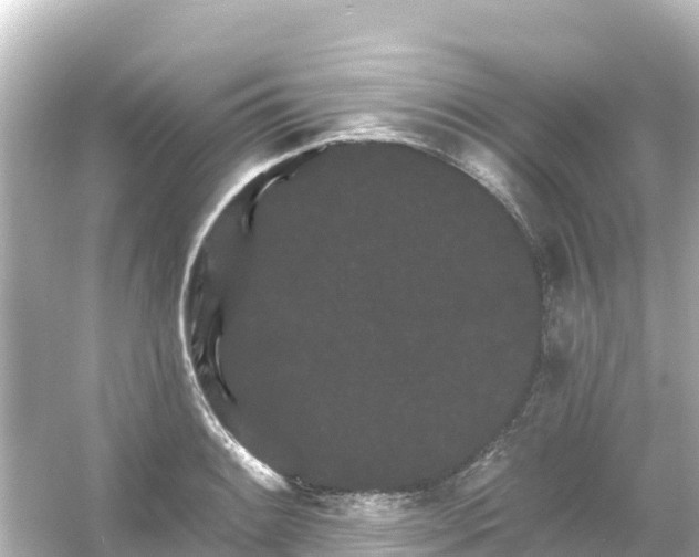 X0000054461084200508051944