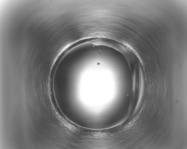 X0000054461085200508051944