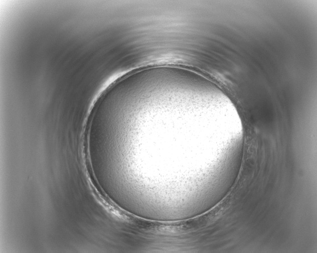 X0000054461086200508051944