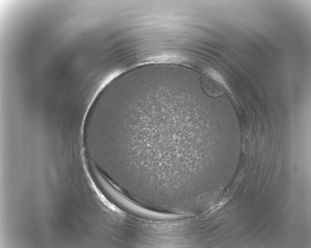 X0000054461087200508051944