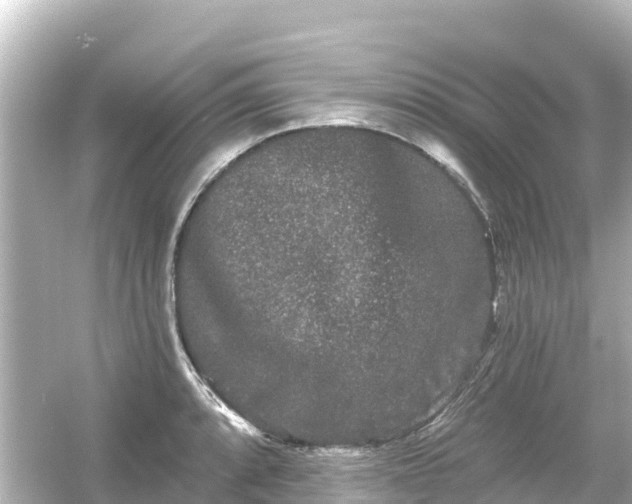 X0000054461088200508051944