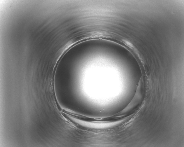 X0000054461089200508051944