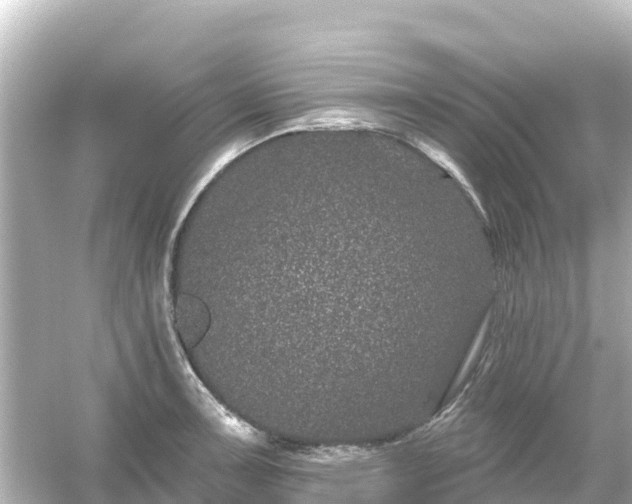 X0000054461091200508051944