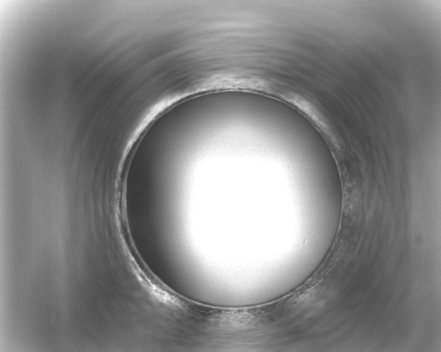 X0000054461094200508051944