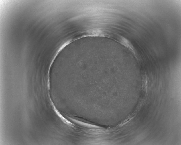 X0000054461095200508051944