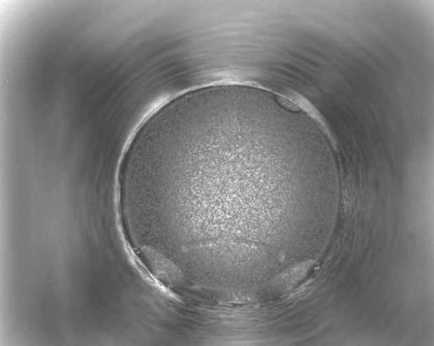 X0000054461096200508051944