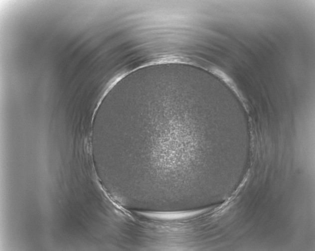 X0000054461097200508051944