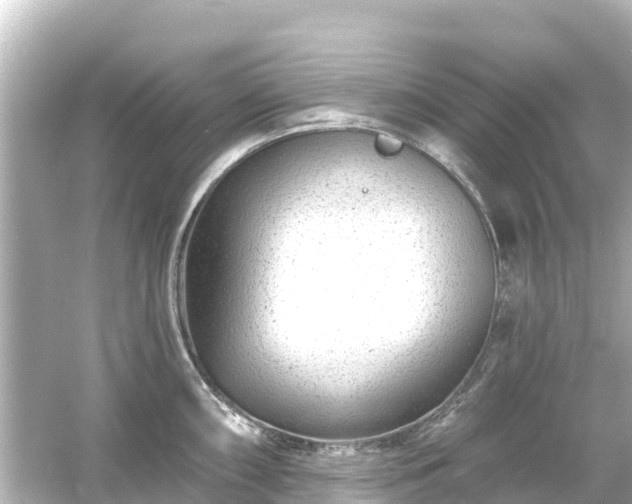 X0000054461098200508051944