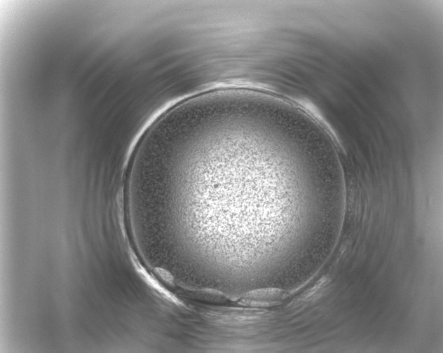 X0000054461100200508051944