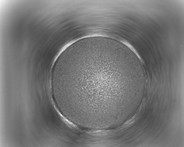 X0000054461101200508051944