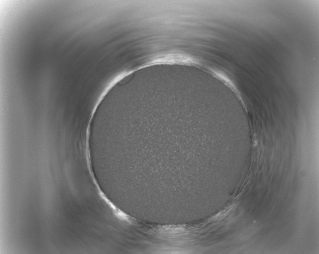 X0000054461103200508051944