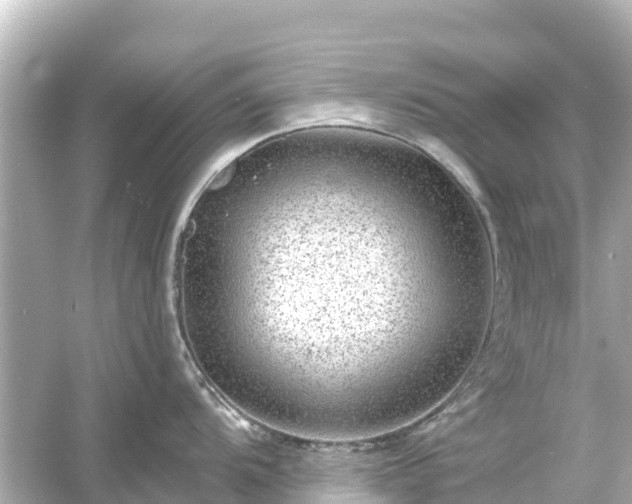 X0000054461104200508051944