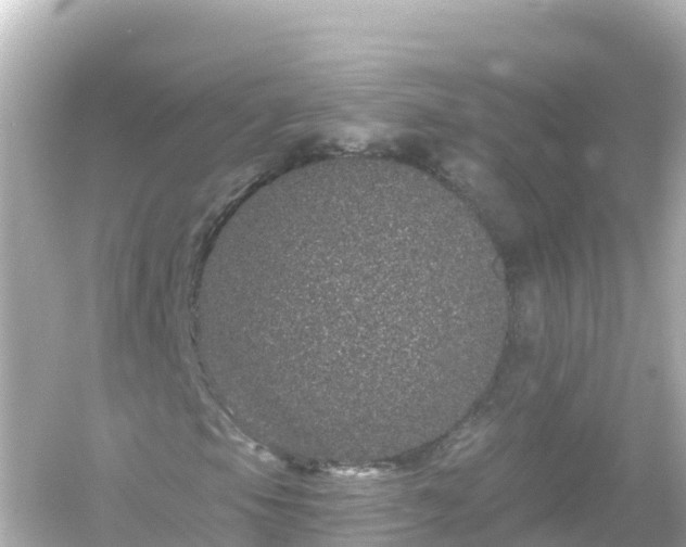 X0000054461105200508051943