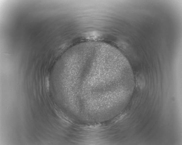 X0000054461106200508051943