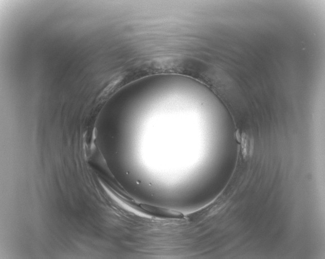 X0000054461107200508051943