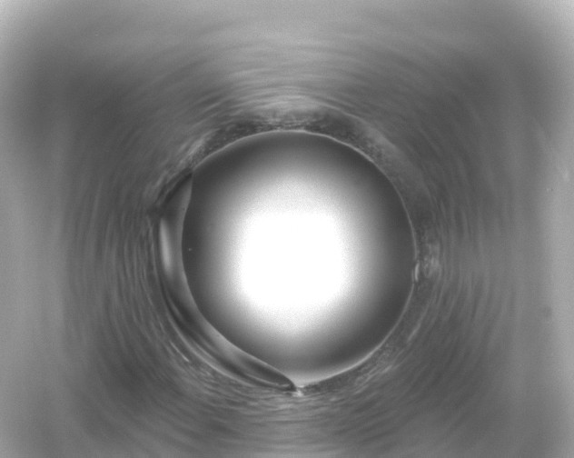 X0000054461108200508051943